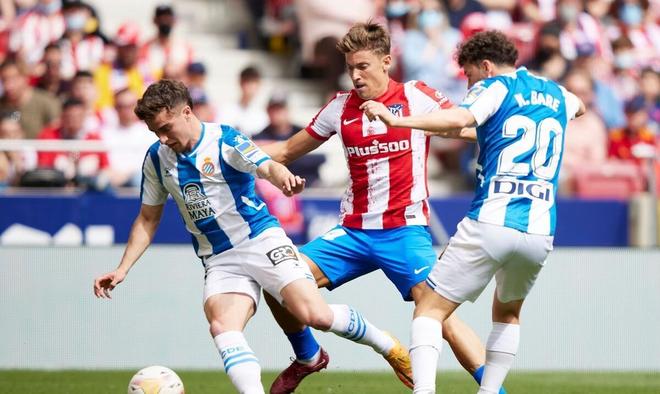 双重目标 双重目标